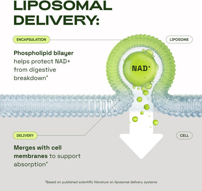 Liposomal NAD+ Supplement with Resveratrol – NMN Supplement Alternative - Advanced NAD Resveratrol